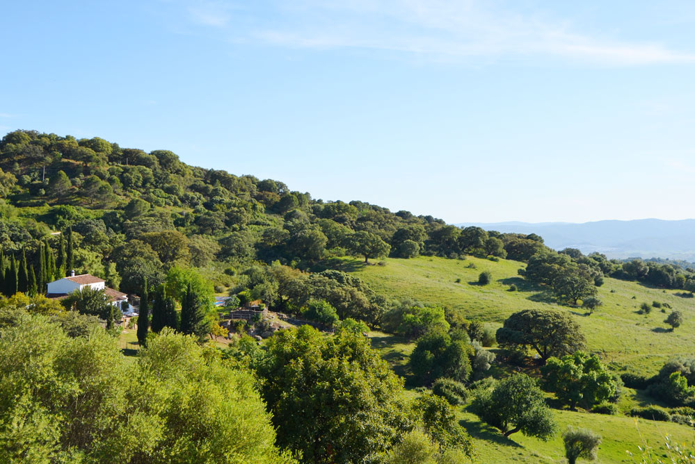 Seclusion at this Gaucin country house